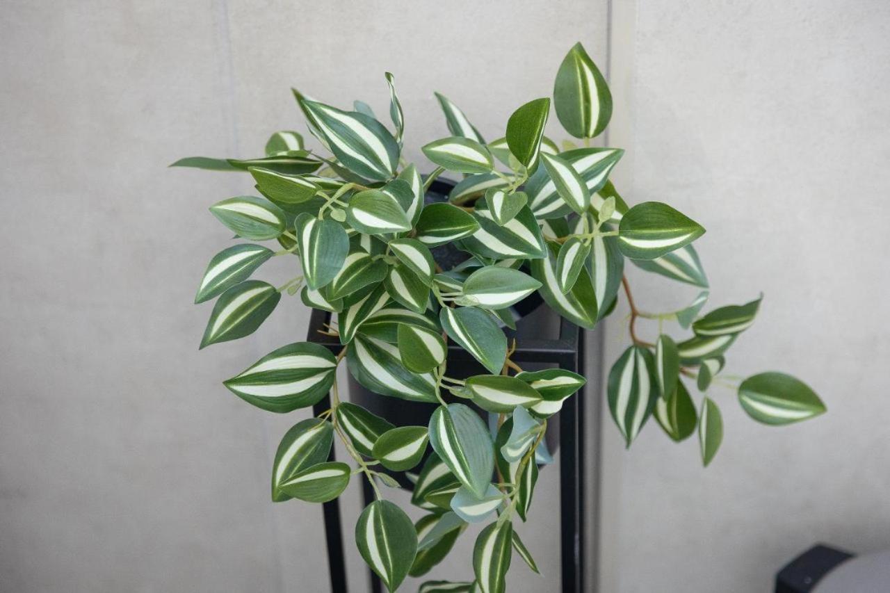 Sweet Maya Home 罗马 外观 照片